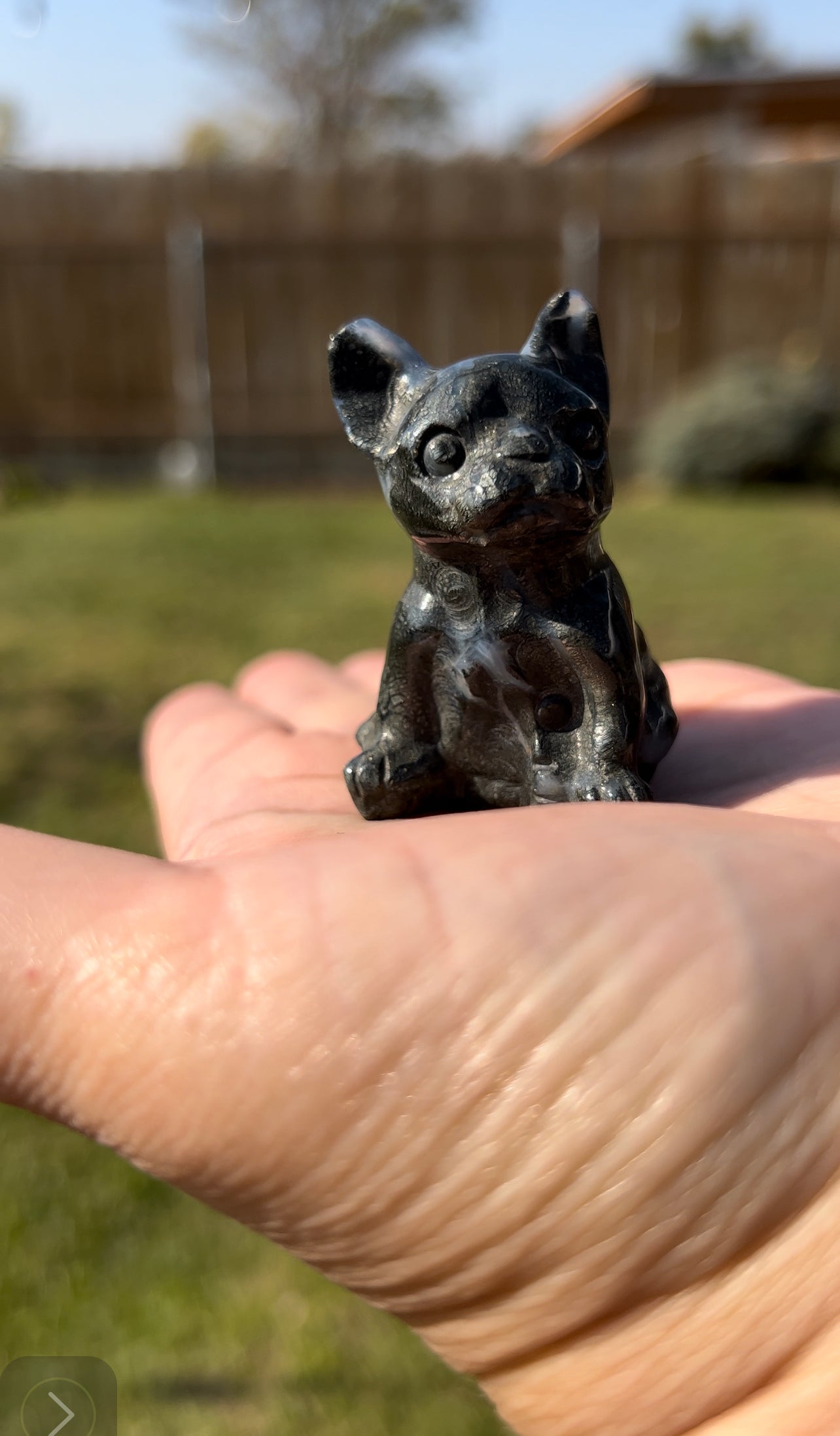 Frenchie pup Agate with pyrite