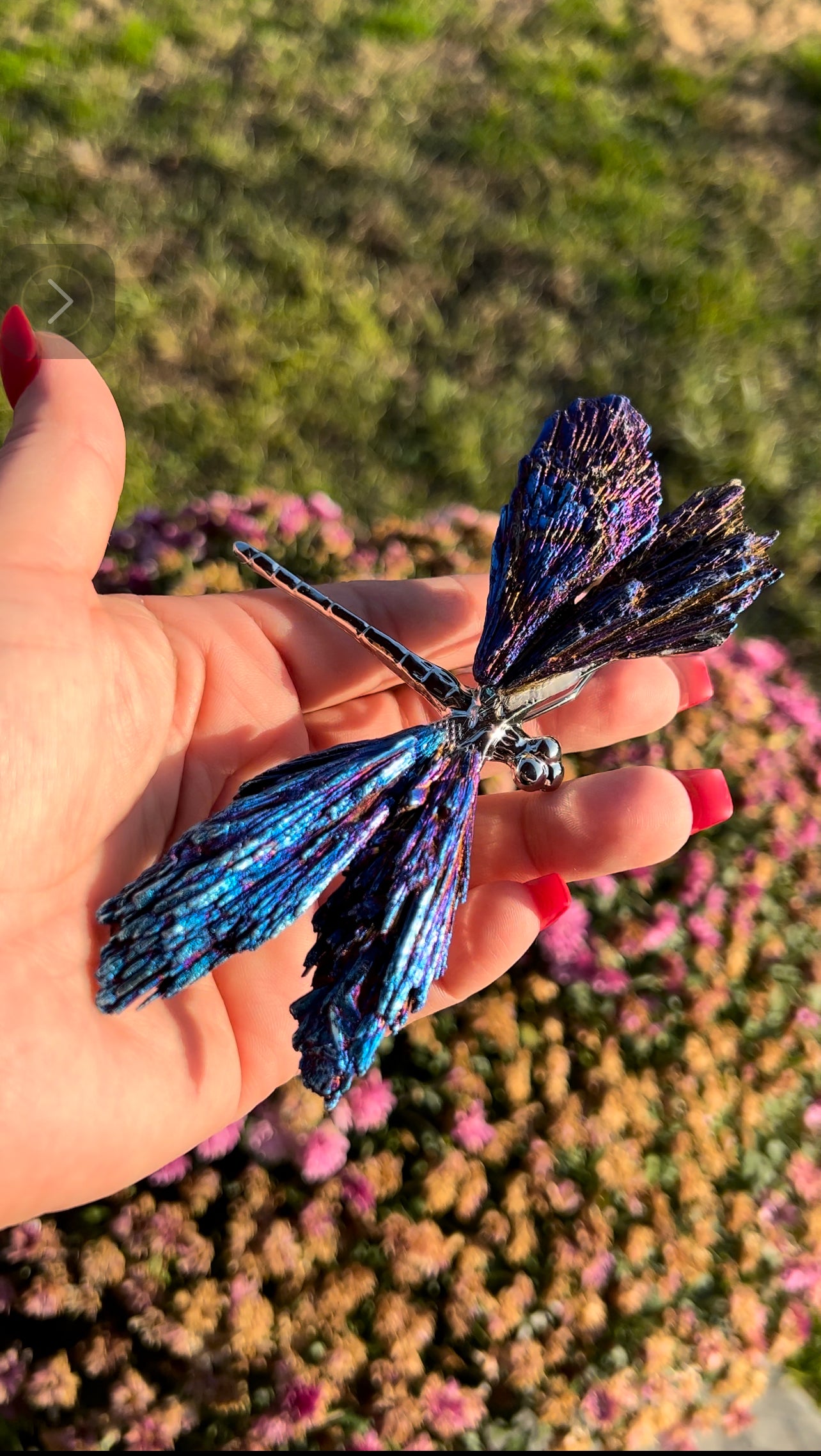 Aura kyanite dragonfly