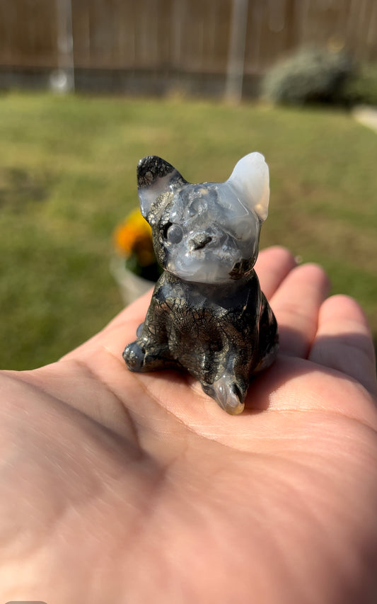 Frenchie pup Agate with pyrite