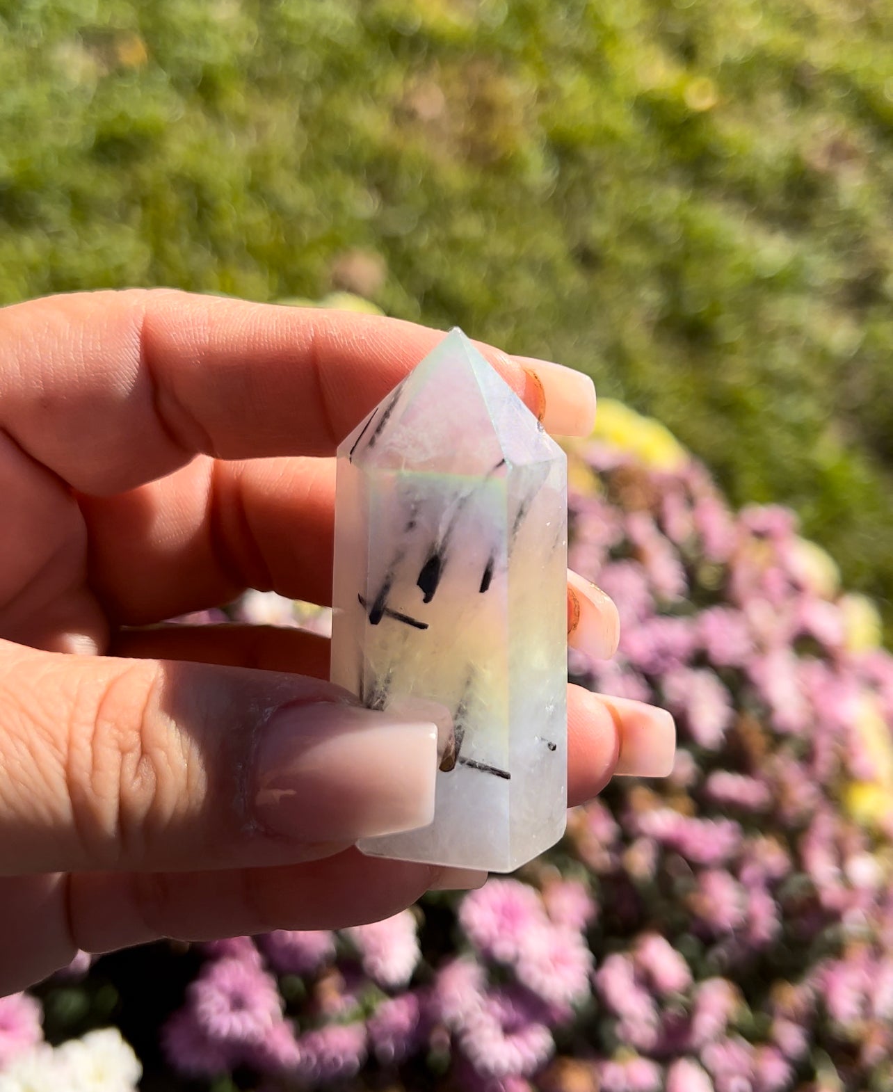 Angel Aura Tourmalinated Quartz