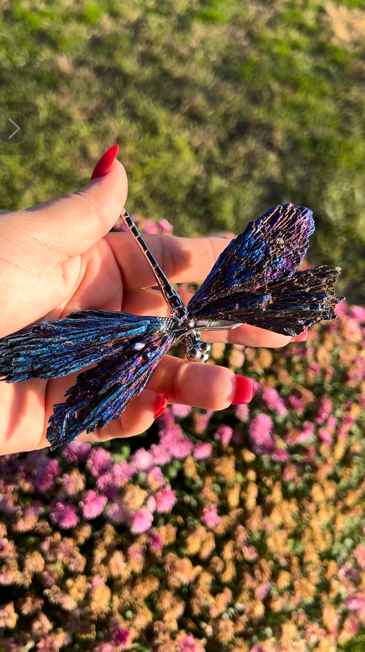 Aura kyanite dragonfly