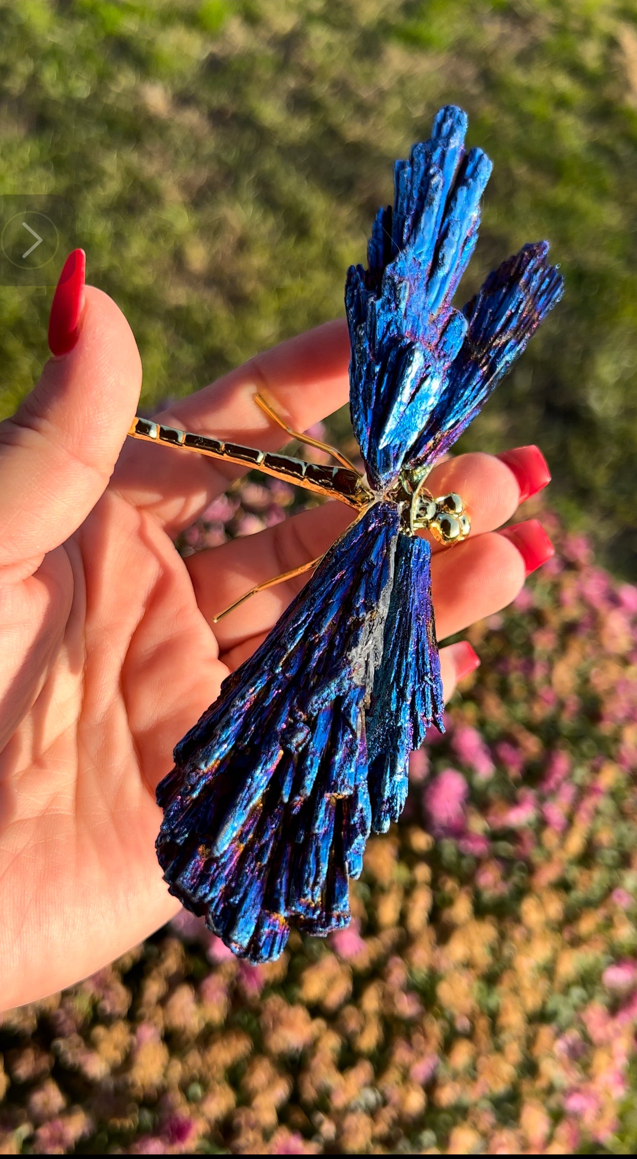 Aura kyanite dragonfly